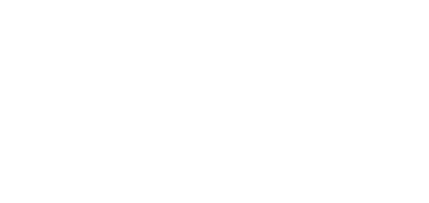 Blipp-logo-white